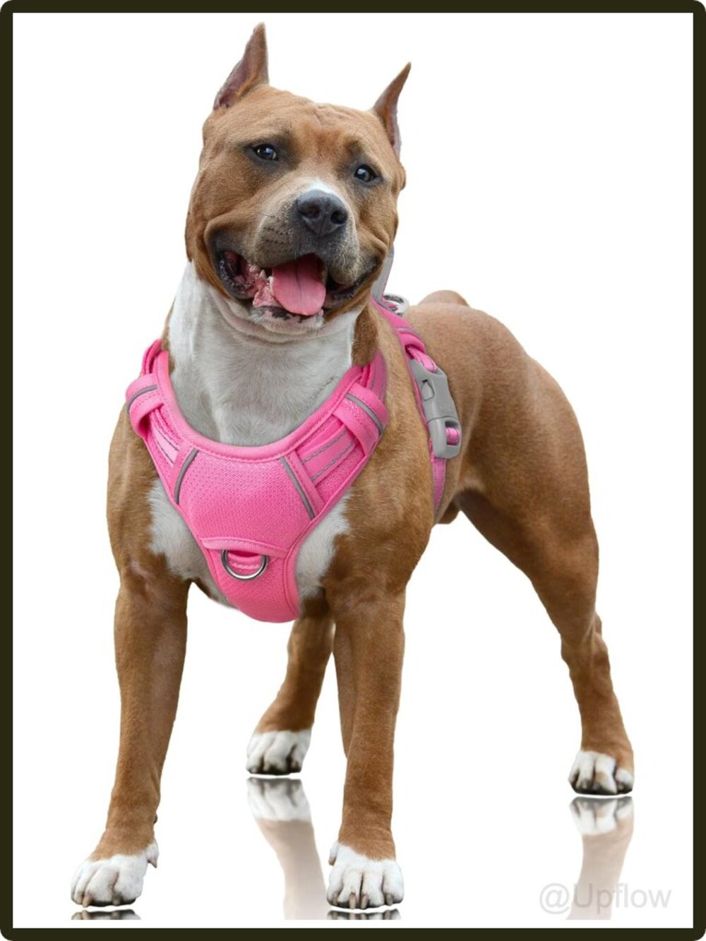 Large Dog No Pull Harness Vest Reflective Adjustable Padded Training Walking